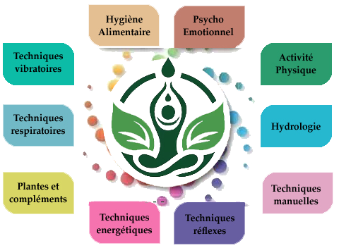 les 10 techniques de la naturopathie holistiques