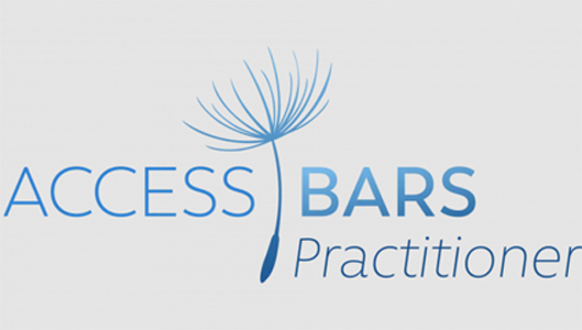 site web Access Bar